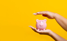 Hand Savings And A Pink Piggy Bank With Coins Inside. Enhancing Savings The Concept Of Planting A Money Saving Plan And Saving Expenses Increases More Income.