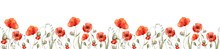 Watercolor Red Poppy Flowers Border Hand Drawn Illustration