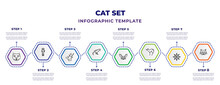 Cat Set Infographic Design Template With Mink, Scratching, Roe, Diaur, Jerboa, Musk, Wind Rose, Chartreux Icons. Can Be Used For Web, Banner, Info Graph.