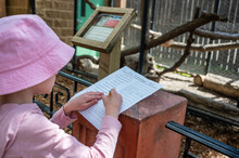 Young Girl Completing A Zoo Scavenger Hunt Form Outdoors In The Spring.