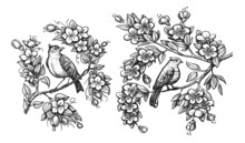 Hand Drawing Bird On Tree Branch. Nightingale And Flowers In Vintage Engraving Style. Sketch Vector Illustration
