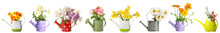 Set Of Watering Cans With Bouquets Of Beautiful Flowers Isolated On White