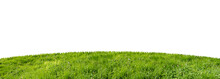 Green Grass Field Isolated On White Background