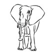 Illustration:Beautiful elephant stripes, used in general applications