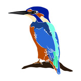 Fototapeta  - Illustration:Beautiful bird, used in general applications