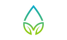 Eco Water Logo Iconic. Branding For Bio Organic Company, Water Purity, Environment, Herbal, Health, Spa, Botanical, Ecology, Etc. Isolated Logo Vector Inspiration. Graphic Designs