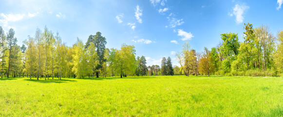 Wall Mural - Green park panorama with green trees and green grass on green field