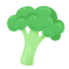 Sticker - Green fresh broccoli. In cartoon style. Isolated on white background. Vector flat illustration.