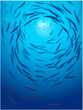 School of fish swimming under water of sea. School barracuda fish swims in underwater. Group of barracuda Fish, vector