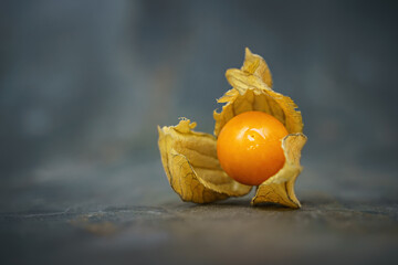 Wall Mural - Physalis berry on a slate background