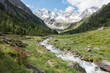 canvas print picture - Naturpark mit Wildbach Gletscher und Alpenrosen