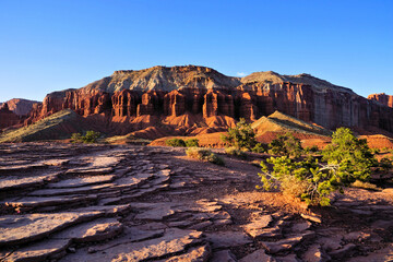 Wall Mural - Capitol Reef National Park, Utah, USA. Late day shadows across the red rock landscape near sunset.