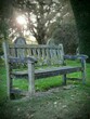 An empty bench in Carlisle Cemetery.