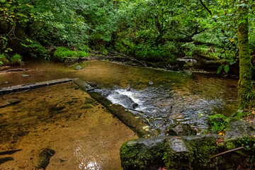 Sticker - Kennall river in Kennall Vale Nature Reserve, Ponsanooth, Cornwall, United Kingdom