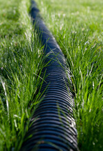 Black Corrugated Plastic Pipe On Green Grass. Pipes For Use In Outdoor Sewerage Systems. Black Long Pipes