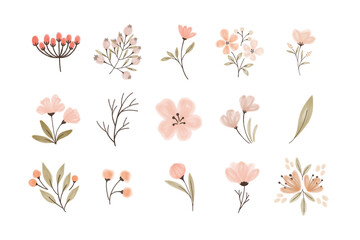 Cute Individual Watercolor Flower Vector Collection