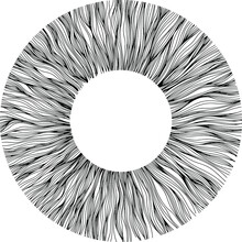 Abstract Eye Illustration. Iris Decorative Image. Circle Vector Line Sketch.
