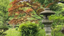 Japanese Garden With Stone Lanterns, Hibiya Park Tokyo Japan Central Downtown, Year 2022 June 11th