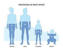 Total Body Water Percentage Child Level Chart