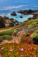 Ocean Waves Crashing Into Rocky Coast With Pink Spring Flowers In Foreground