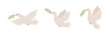 Fototapeta  - Flying dove with olive branch in different positions, symbol peace. Pigeon sign.