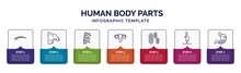 Infographic Template With Icons And 7 Options Or Steps. Infographic For Human Body Parts Concept. Included Human Eyebrow, Men Shoulder, Human Spine, Uterus, Three Bacteria, Woman Pregnant, Stoh With