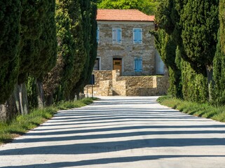 Wall Mural - rural