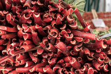 Close Up Of The Red Rhubarb Stalks
