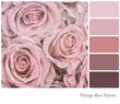 Vintage pink roses with dew drops in a colour palette with complimentary colour swatches.