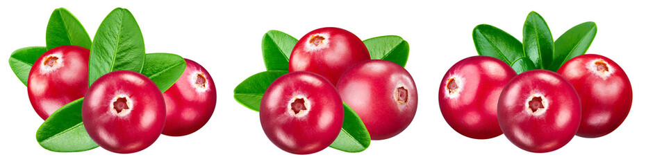 Wall Mural - cranberries isolated on white background