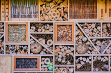 View To An Insect Hotel Made Of Different Materials To Offer A Retreat For Many Species.