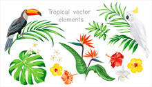 Tropical Vector Set For Summer Beach Design. Isolated Elements On A White Background. Palm Leaves, Exotic Flowes, Birds Of Paradise.