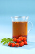 hot tea with rowan on a blue background
