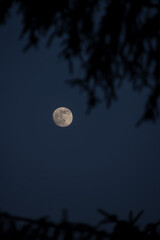 full moon