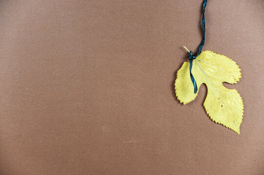 A yellow tree leaf against a brown background. The brown leaf hangs vertically on a black rope. Minimalist background with copy space for text and design elements