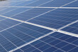 Leinwandbild Motiv Rows of solar panels