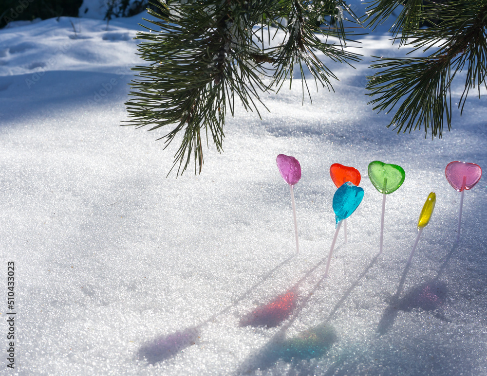 Heart-Shaped Lollipops in Snow under Pine Branches with Long Shadows (Horizontal)