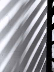 Wall Mural - shadow on the white wall. natural light overlay for background.