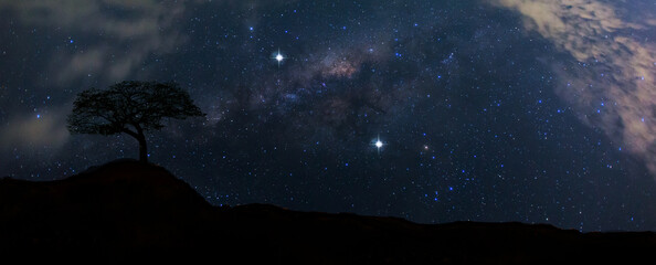 Wall Mural - milky way and stars.panorama blue night sky milky way and star on dark background.universe filled wi