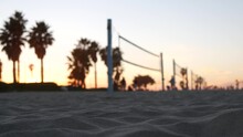 Players Playing Volleyball On Beach Court, Volley Ball Game With Ball And Net, Sunset Palm Trees Silhouette, California Coast, USA. Defocused People On Sandy Ocean Shore. Seamless Looped Cinemagraph.