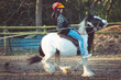 A teenage girl bareback riding a stubborn piebald gypsy cob draft horse pony which stops and plants forelegs
