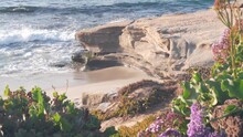 Ocean Waves Crashing On Beach, Sea Water Surface From Above, Eroded Cliff Of La Jolla Shore, California Pacific Coast, USA. Seascape Natural Background. Erosion Of Bluff On Coastline. Flowers Greenery