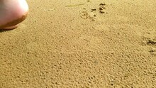 Girl's Feet Walking On The Sand
