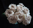 Bouquet of garden beige roses Westminster Abbey on black background 