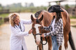 © weyo - A veterinary checks the horse at the ranch while the owner holds the animal
