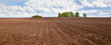 Plowed field and blue sky. agriculture plowed field and blue sky with clouds.