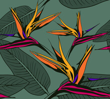 Flower Pattern Seamless Vector Background. Floral Design Illustration For Textile Or Wallpaper.