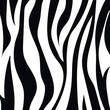 Textura o fondo de piel de zebra color negro con fondo blanco para portadas