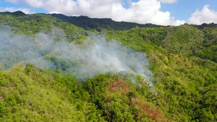 Wall Mural - Aerial drone of forest fire smoke on the slopes hills. Forest fire in the tropics. Bohol,Philippines.