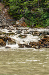 Wall Mural - Skagway, Alaska, USA - July 20, 2011: Taiya Inlet above Chilkoot Inlet. Closeup of shoreline where waterfall rapis dumps white water into green inlet. Rocks with green foliage above on mountain flank.